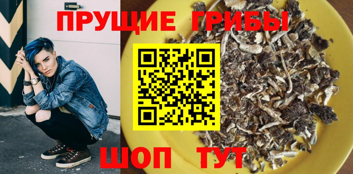 Галлюциногенные грибы Psilocybine cubensis  Вход с VPN  Сланцы 