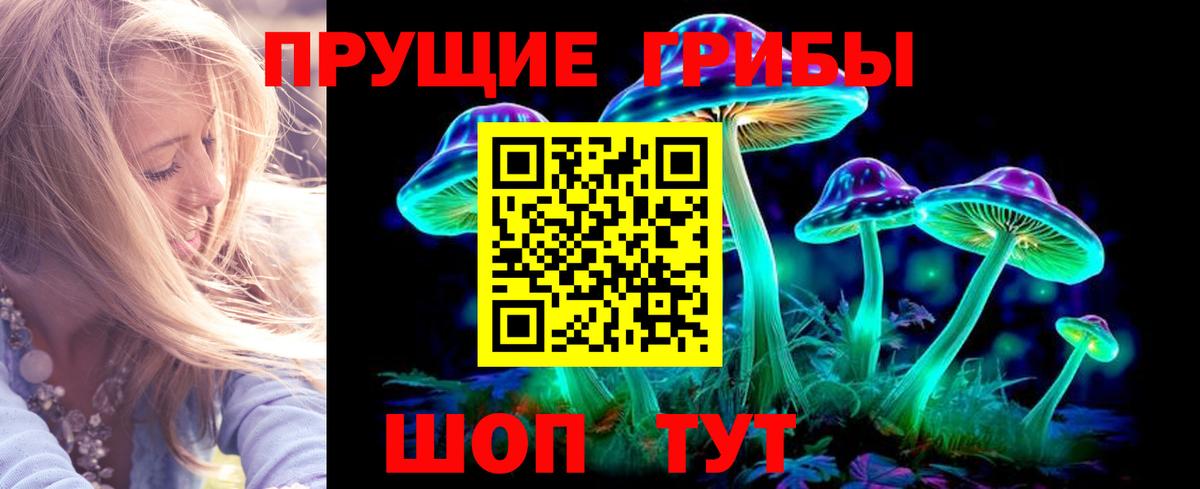 Псилоцибиновые грибы MAGIC MUSHROOMS Сланцы